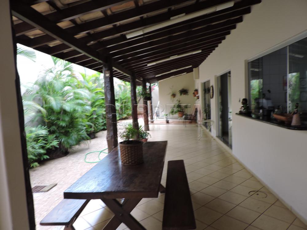 Alugar Casa / Residencial em Araçatuba R$ 10.000,00 - Foto 14