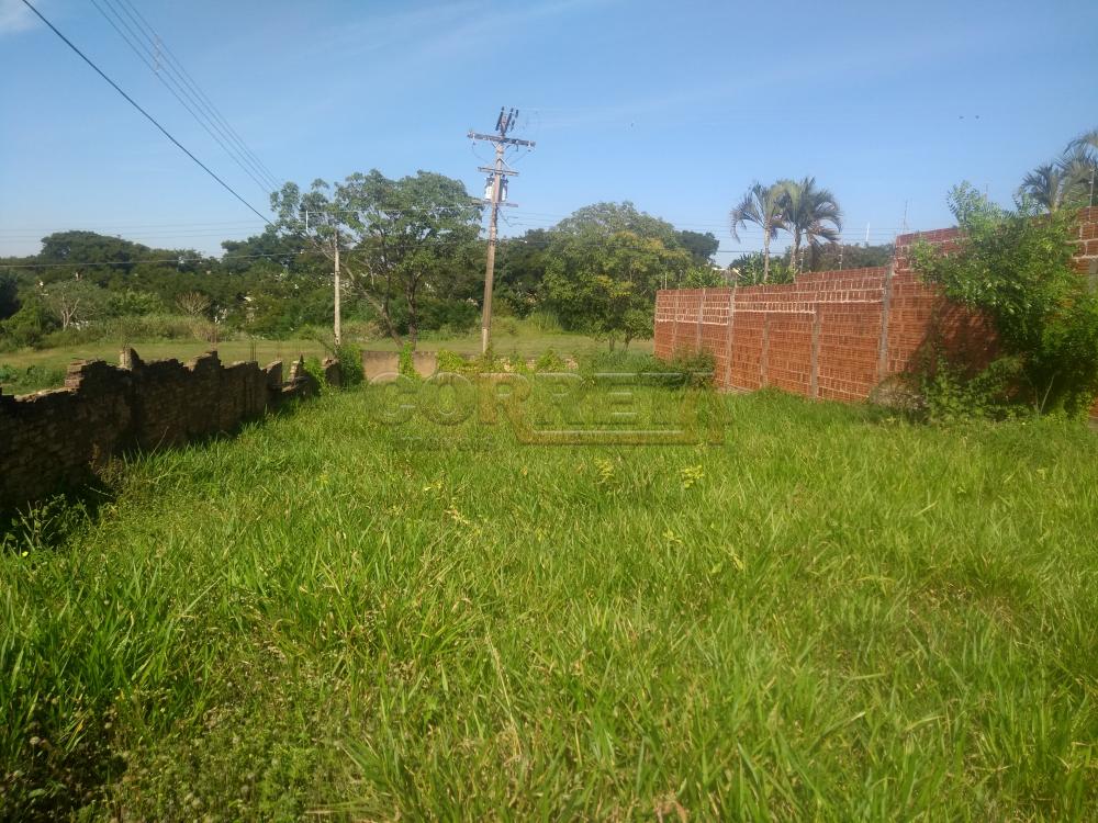Comprar Terreno / Padrão em Araçatuba R$ 115.000,00 - Foto 2