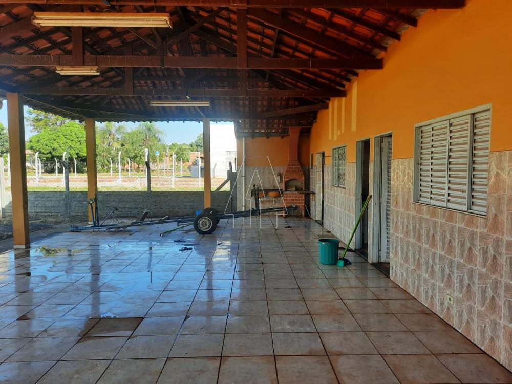 Comprar Rural / Rancho Condomínio em Araçatuba R$ 250.000,00 - Foto 11
