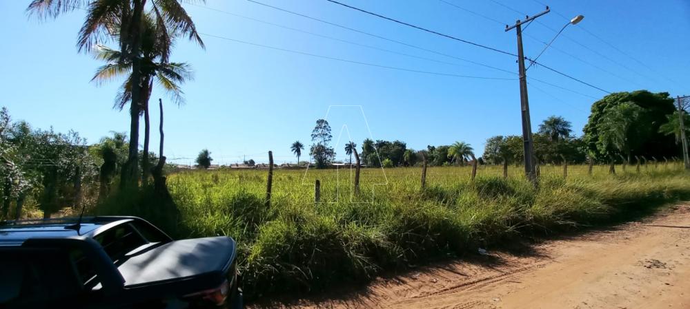 Comprar Terreno / Área em Araçatuba R$ 210.000,00 - Foto 3