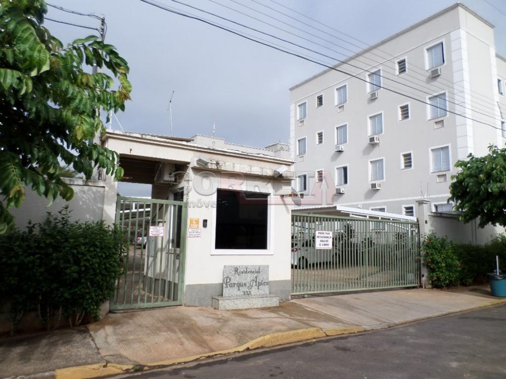Alugar Apartamento / Padrão em Araçatuba R$ 1.250,00 - Foto 10