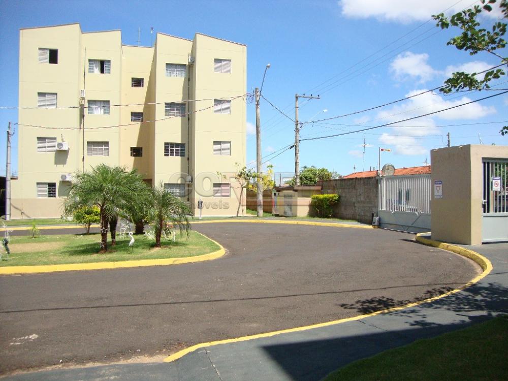 Alugar Apartamento / Padrão em Araçatuba R$ 800,00 - Foto 11