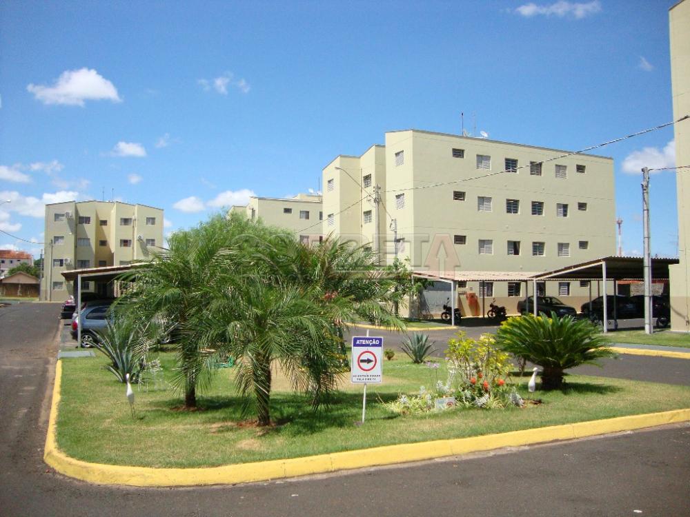 Alugar Apartamento / Padrão em Araçatuba R$ 800,00 - Foto 12