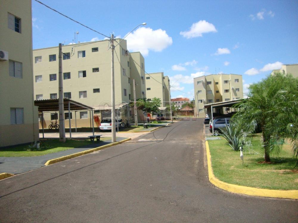 Alugar Apartamento / Padrão em Araçatuba R$ 800,00 - Foto 13