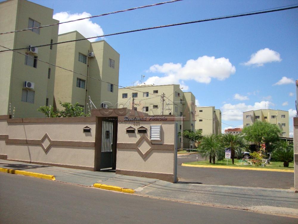 Alugar Apartamento / Padrão em Araçatuba R$ 550,00 - Foto 14