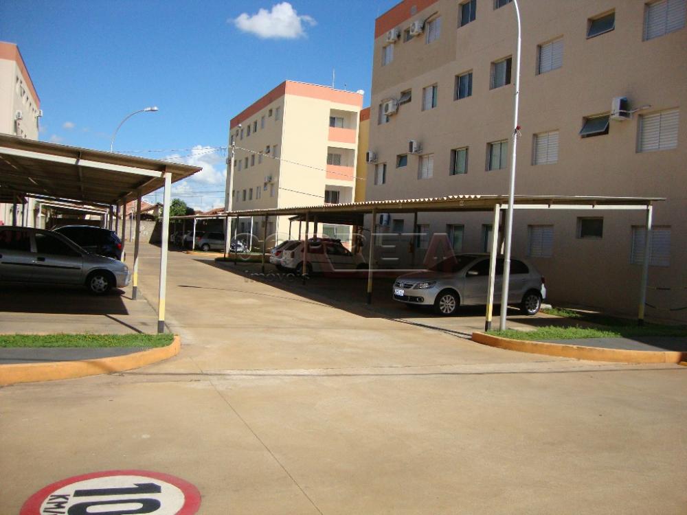 Alugar Apartamento / Padrão em Araçatuba R$ 650,00 - Foto 12