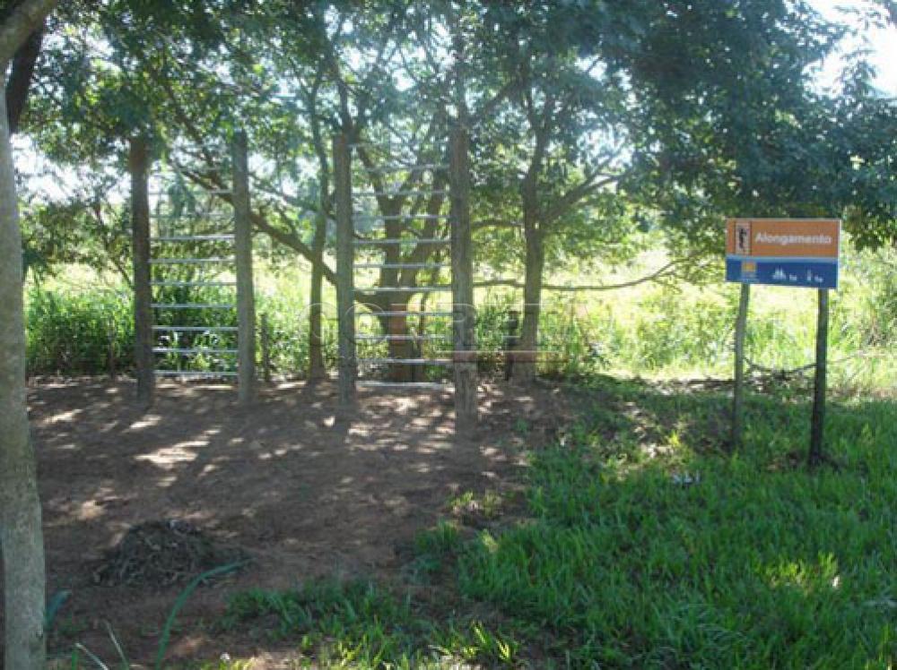 Comprar Rural / Rancho Condomínio em Araçatuba R$ 680.000,00 - Foto 68