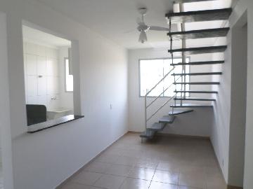 Alugar Apartamento / Duplex em Araçatuba. apenas R$ 230.000,00