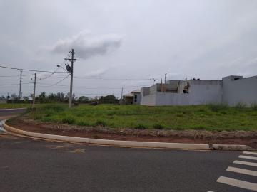 Alugar Terreno / Condomínio em Araçatuba. apenas R$ 100.000,00
